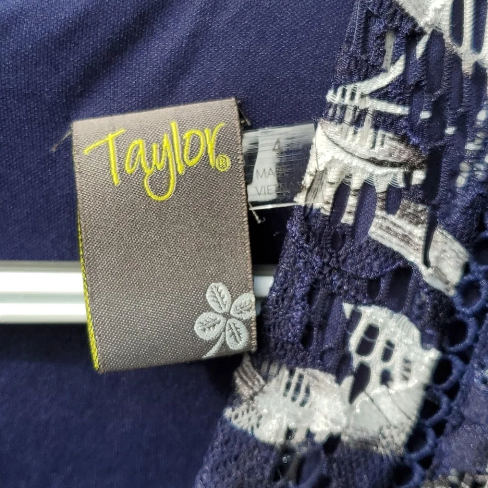 Taylor Sleeveless Lace A-Line Dress